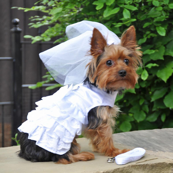 Dog Wedding Harness Dress/Bridal Set by Doggie Design