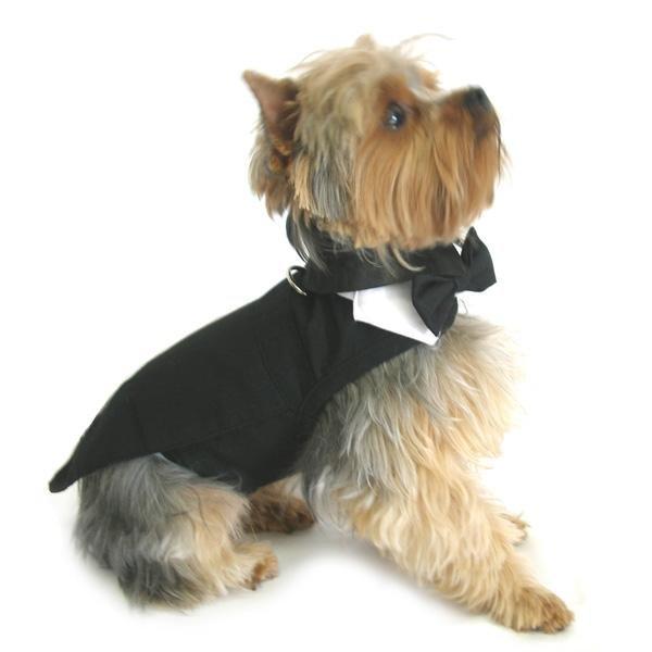 Doggie Design Pets Classic Dog Tuxedo Set with Hat and Tails by Doggie Design