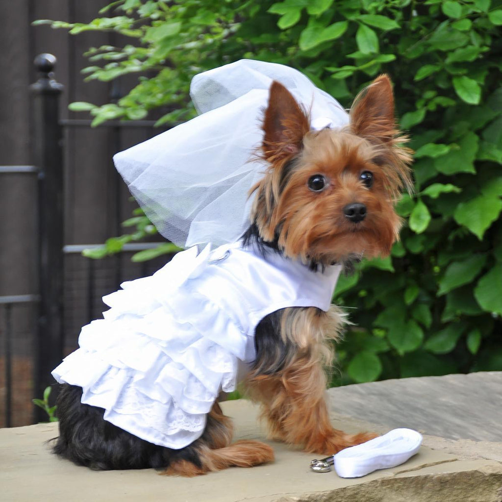 Doggie Design Pets Dog Wedding Harness Dress/Bridal Set by Doggie Design
